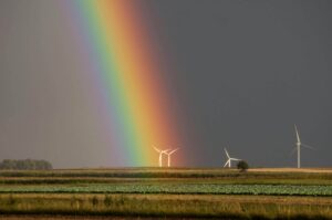 Sustainable Sourcing Policy Earns Industry Award